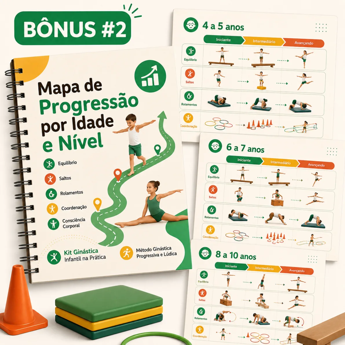 Mapa de Progressão por Idade e Nível